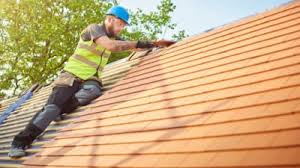 Best Roof Moss and Algae Removal  in Oakland, PA
